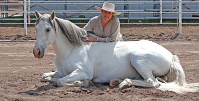 Women's horsemanship demos with her Andalusian gelding Bergante by Karen Scholl
