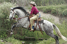 Horsemanship instructional materials