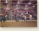 Presentations on women's horsemanship at horse fair by Karen Scholl
