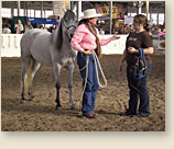 Presentations with problem horses by Karen Scholl